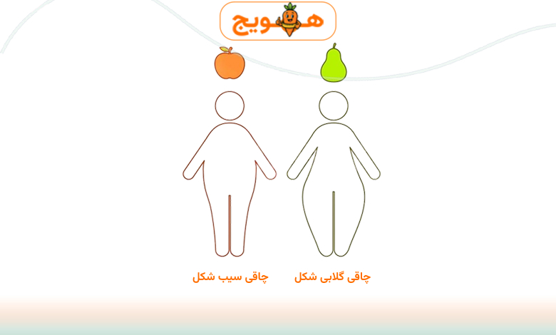 چاقی سیبی و چاقی گلابی