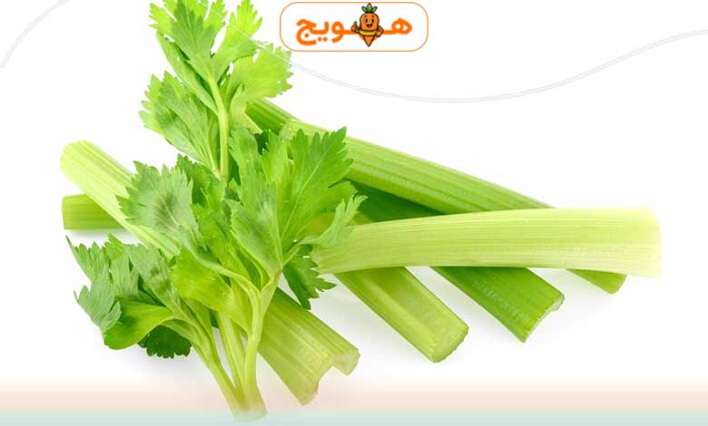 اسفناج قوی ترین چربی سور شکم و پهلو