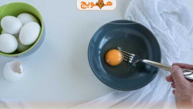 رژیم تخم مرغ