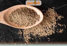 خواص رازیانه