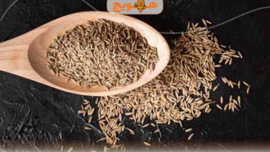 خواص رازیانه