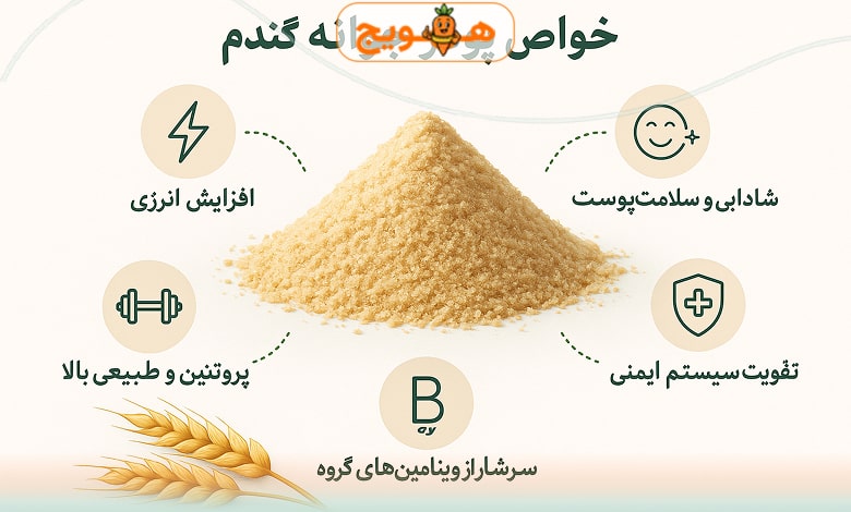 فواید مصرف پودر جوانه گندم