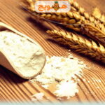 پودر جوانه گندم