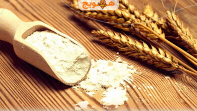پودر جوانه گندم